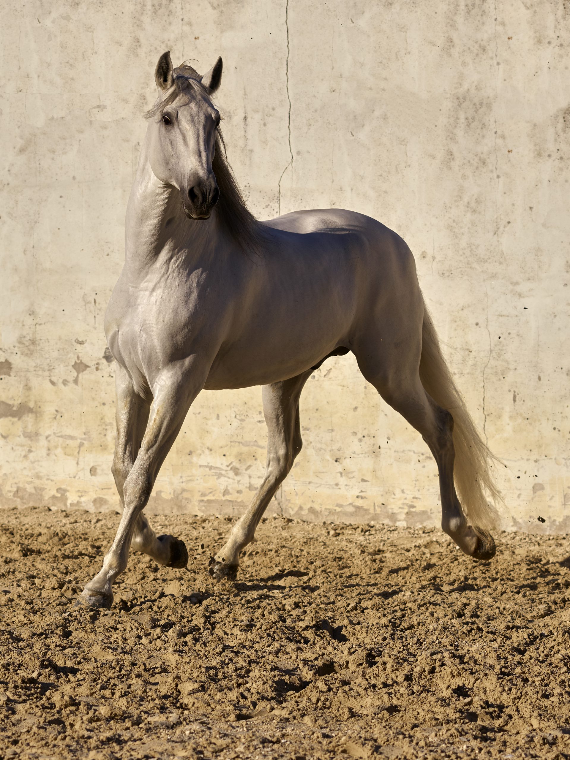 Primeur
